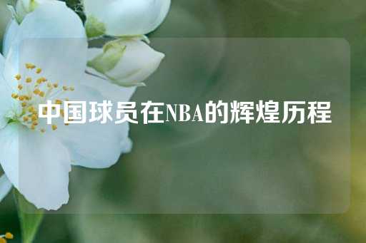 中国球员在NBA的辉煌历程