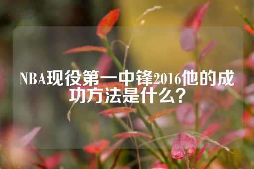 NBA现役第一中锋2016他的成功方法是什么？