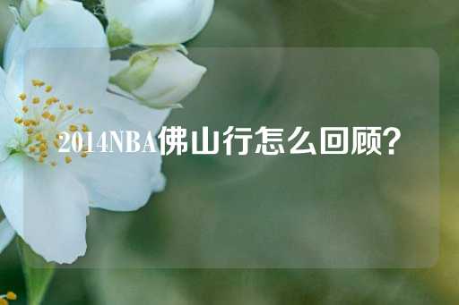 2014NBA佛山行怎么回顾？